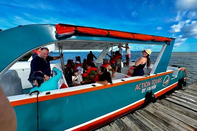 Punta Cana: Full Day Whale Watching Montana Redonda With Lunch - Good To Know