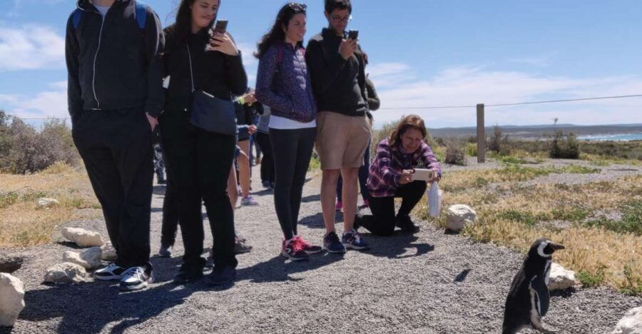 Punta Tombo Shore Excursion Box Lunch and Tickets Included - Activity Duration and Availability