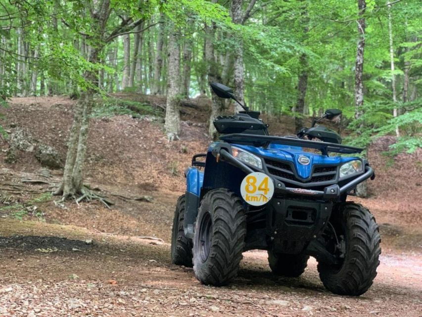 Quad Adventure – Mt. Faito & Vico Equense