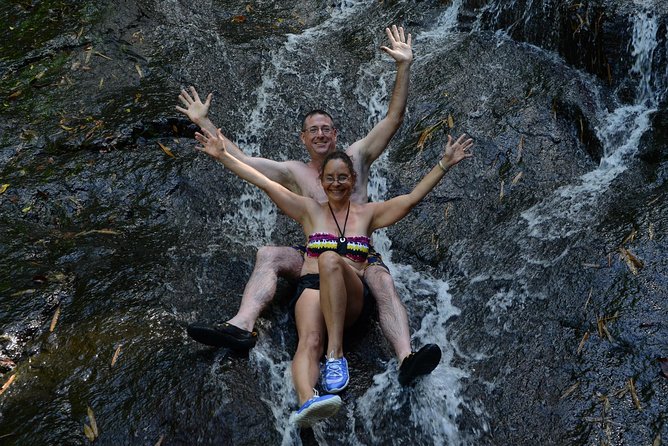 Rainforest Hike & Waterfall Safari St. Lucia From Castries - Tour Highlights