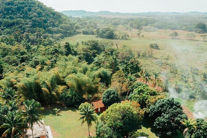 Rastasafari Cultural ATV Adventure From Negril - Cancellation Policy