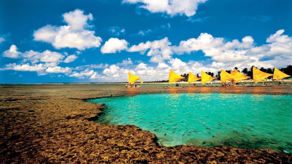 Recife: Tour to Porto De Galinhas