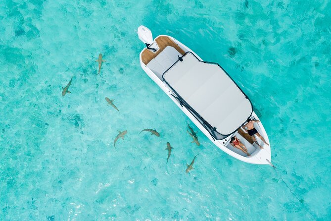 Reef Discovery Luxury Private Sunset Cruise - Good To Know