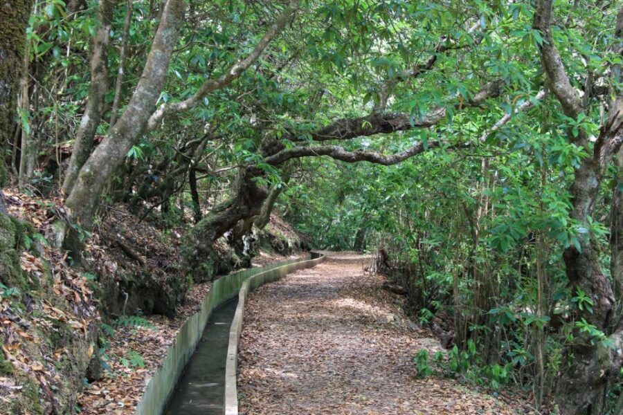 Ribeiro Frio - Portela - Levada Do Furado - Good To Know