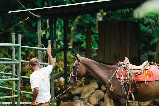 Ride Through Manuel Antonio’s Waterfalls and History