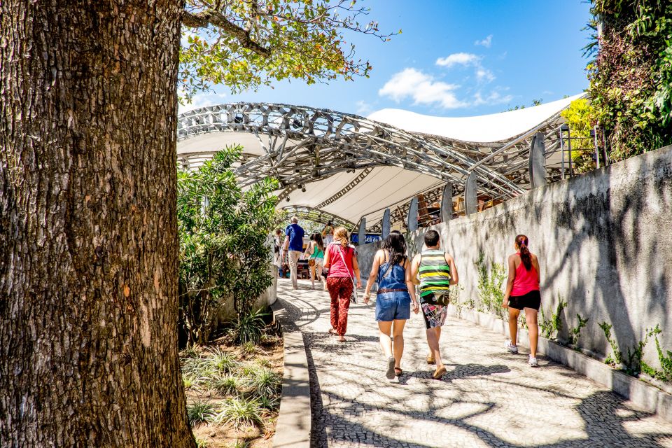 Rio: Christ the Redeemer Early Access and Sugarloaf - Good To Know