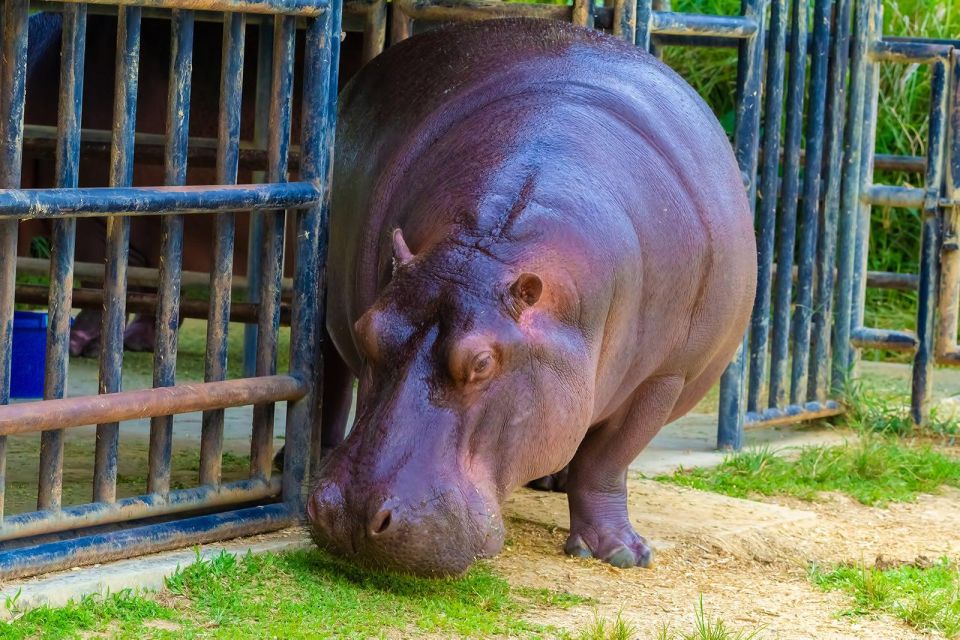Rio De Janeiro: Biopark of Rio Entry Tickets (Zoo) - Ticket Information