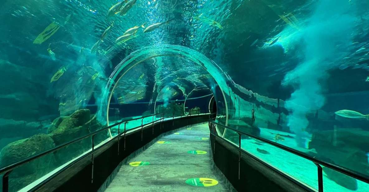 Rio De Janeiro: Marine Aquarium Entry Tickets