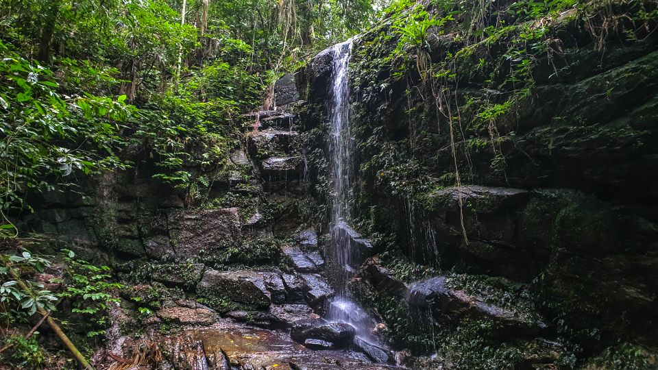 Rio De Janeiro: Tijuca Forest Waterfall of Souls Hike - Good To Know