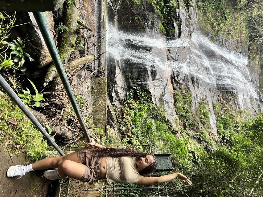 Rio De Janeiro: Top Instagrammable Spots Guided City Tour - Testimonials