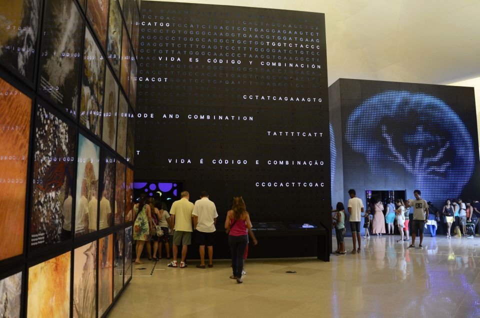Rio: Olympic Boulevard, Museum of Tomorrow & History Tour