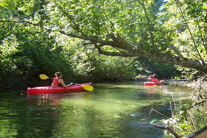 River of Golden Dreams Canoe and Kayak Self Guided Excursion - Meeting and Pickup