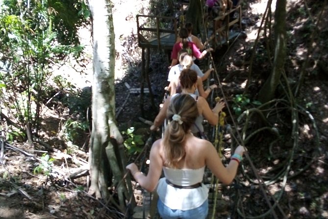 Roatan Stewart Tours:zip Line Tour & Beach Day