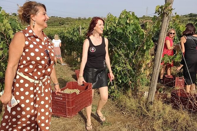 Rome: Frascati Wine Tasting Tour & Vineyards - Tour Overview