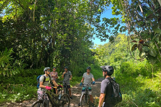 Route N 1 in Electric Mountain Bike Valleys of Teva I Uta - Expectations and Restrictions
