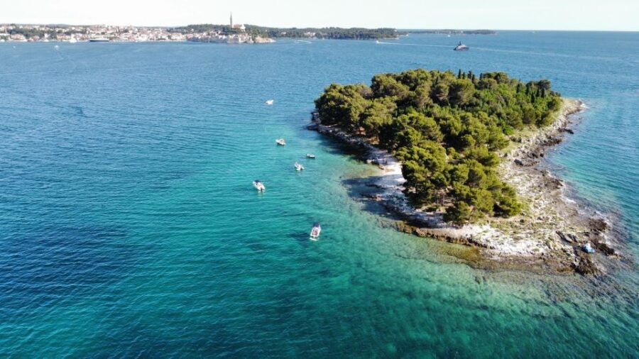 Rovinj: Rovinj Archipelago and South Coves Speedboat Tour