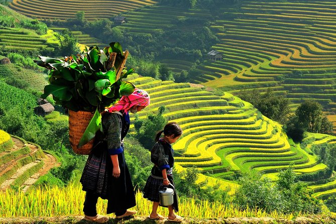 Sa Pa 2-Day Moderate Trek and Homestay Limousine Tour From Hanoi - Pricing and Booking Details