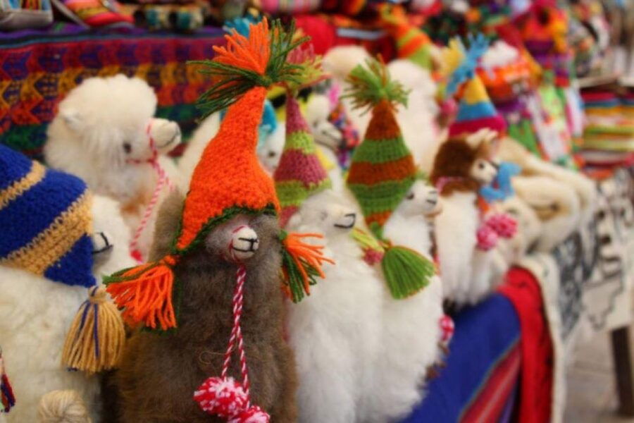 Sacred Valley and Macchu Picchu by Train 2 Days - Good To Know