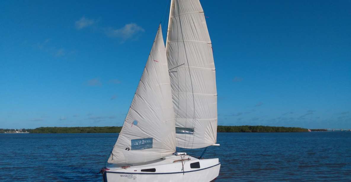 Sailboat Tour in Aracaju - Good To Know