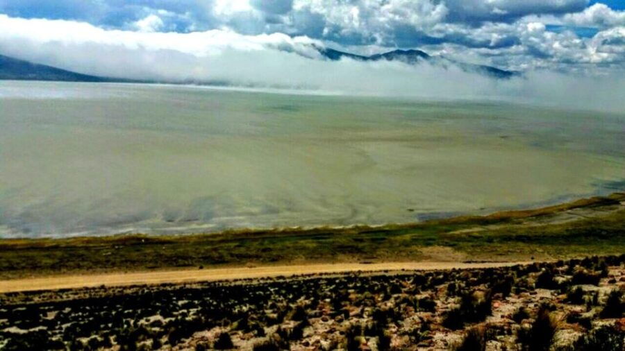 Salinas Salt Lagoon Private Tour: Day Trip From Arequipa - Good To Know