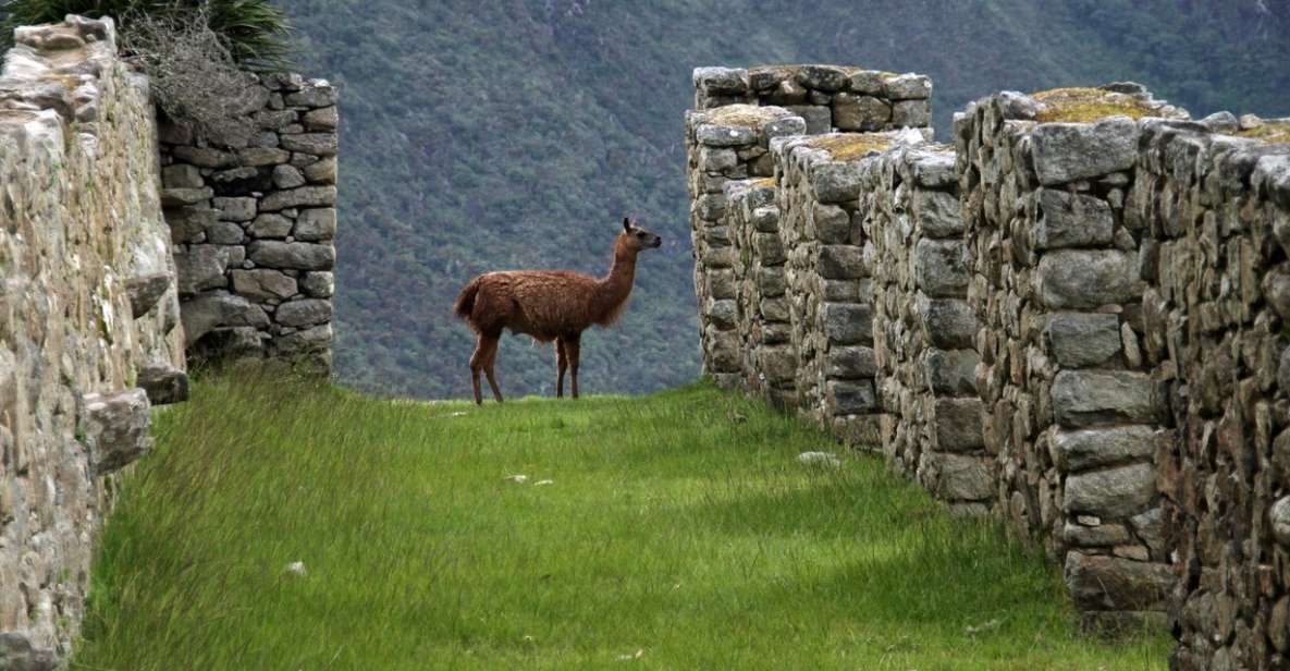 Salkantay: All-Inclusive 5-Day Machu Picchu Trek