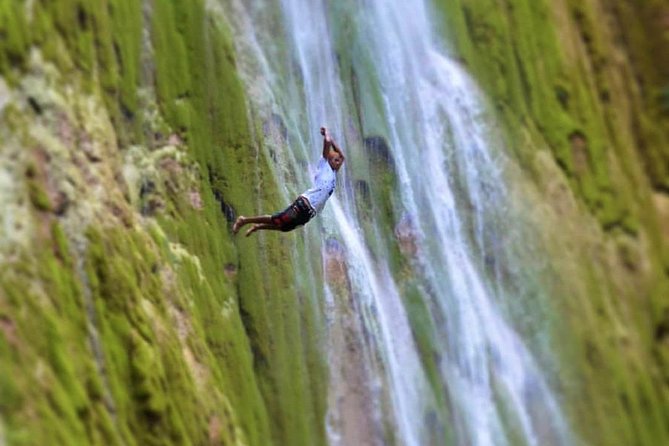Samana Whale Watching Cayo Levantado Limon Waterfalls From Punta Cana Hotels - Good To Know