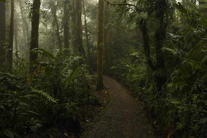 Samara to From Monteverde Private Shuttle (1-8 Px)