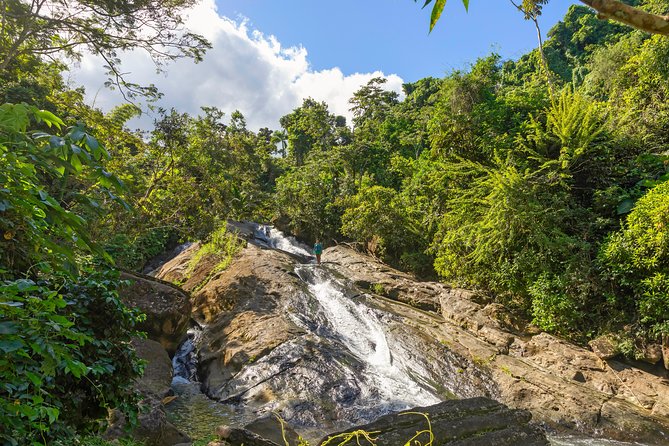 San Juan Small-Group Full-Day Nature Adventure - Discover Puerto Ricos Natural Beauty