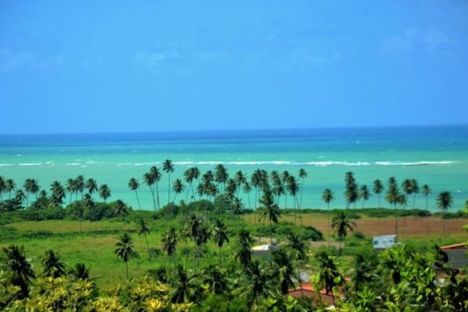 San Miguel Dos Milagres Private Tour Group of 1-6 PAX - Leaving Maragogi - Pricing and Inclusions