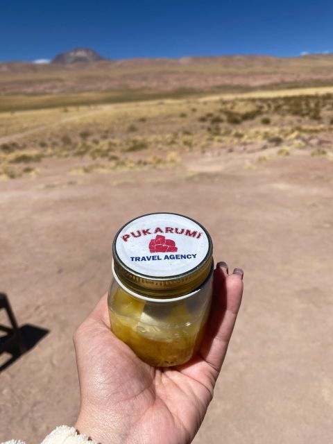 San Pedro De Atacama: Red Rocks & Altiplano Lagoons Day Trip - Good To Know