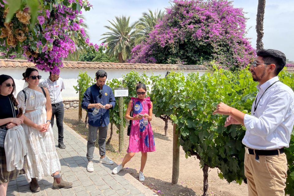 Santa Rita Classic Vineyard Tour