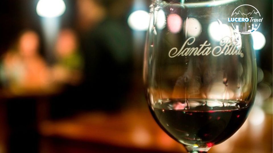 Santa Rita Vineyard