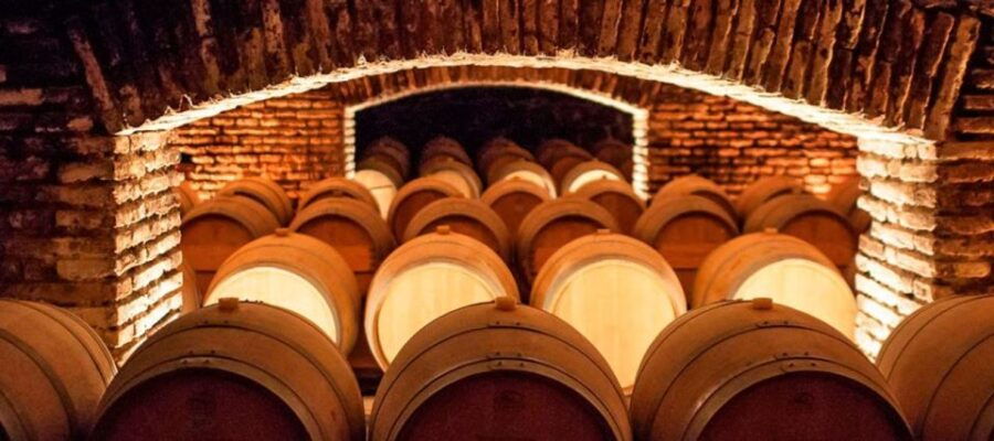 Santiago: Concha Y Toro Winery 4–Hour Tour & Sommelier Class - Good To Know