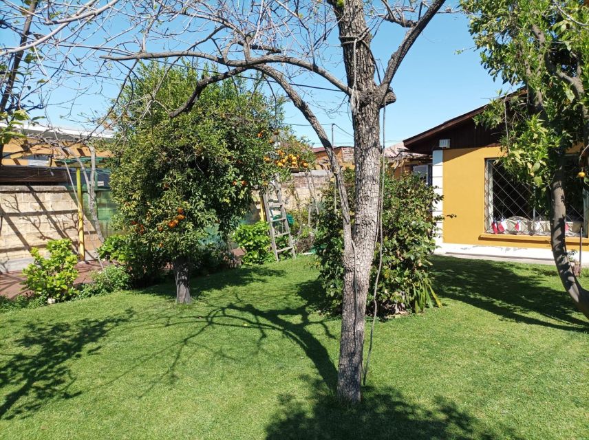 Santiago: Premium Barbecue at Family Home