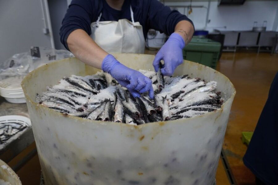 Santoña: Cannery Guided Tour With Wine and Anchovy Tasting - Good To Know