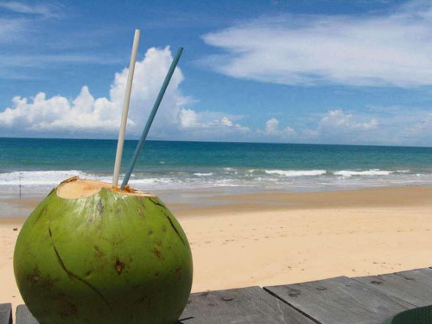 Santos Shore Excursion: Full Day Beaches Tour - Full Tour Description
