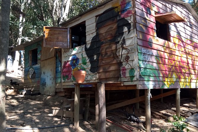Sao Paulo Private Cultural Tour to Guarani Indigenous Reserve - Tour Overview