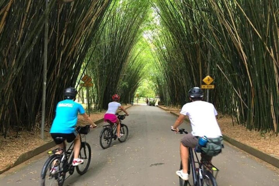 Sao Paulo: The Coolest Urban Scenes Bike Tour