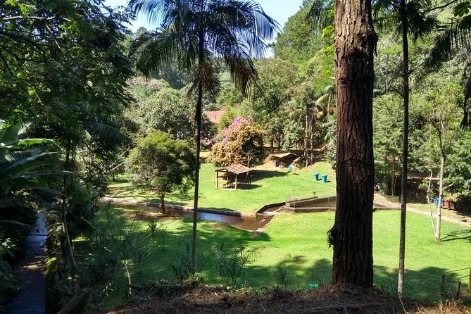 Sao Paulo Tour: Venture Through Cantareira Rainforest