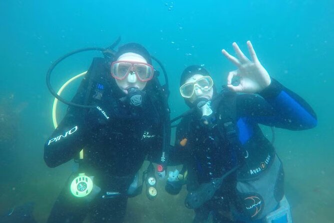 Scuba Diving Activity in Dubai With Hotel Pickup