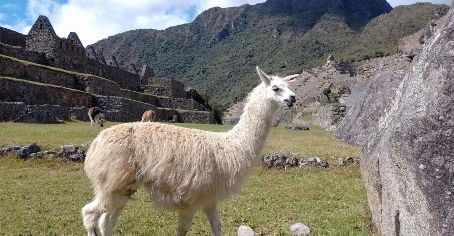 Short Inca Trail Hike, Sacred Valley, With Rainbow Mountain - Good To Know