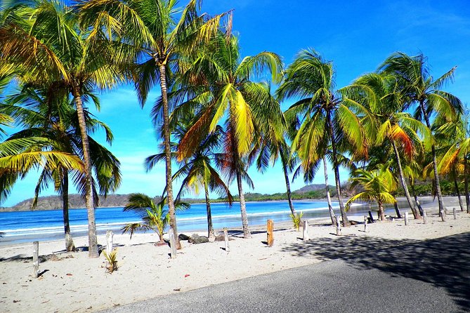 Shuttle Service From Liberia Airport To Samara And Carrillo Beach