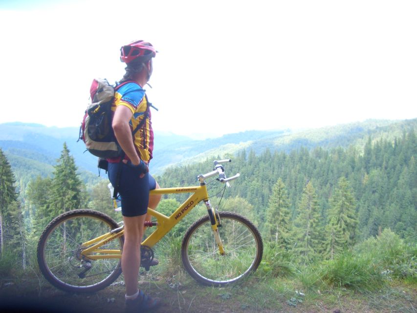 Sibiu: Guided Highlights E-bike Tour - Booking Information