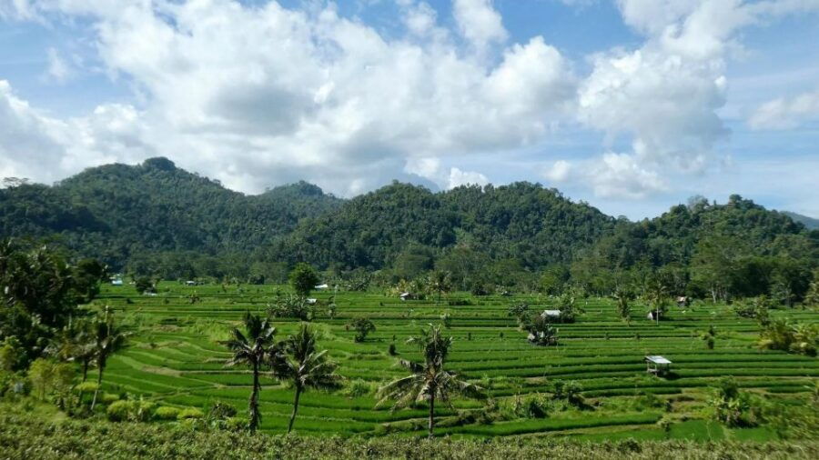 Sidemen: Balinese Food Cooking Class Experience - Good To Know