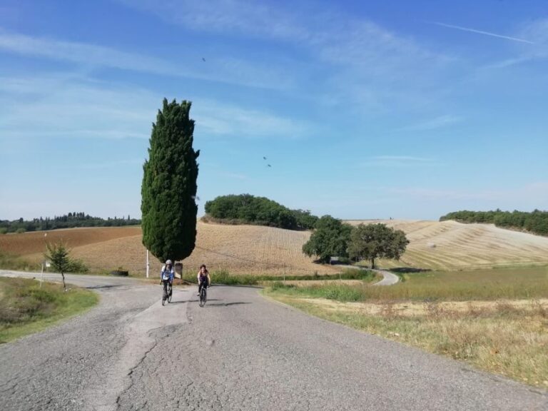 Siena: Chianti Classico Guided Cycling Tour