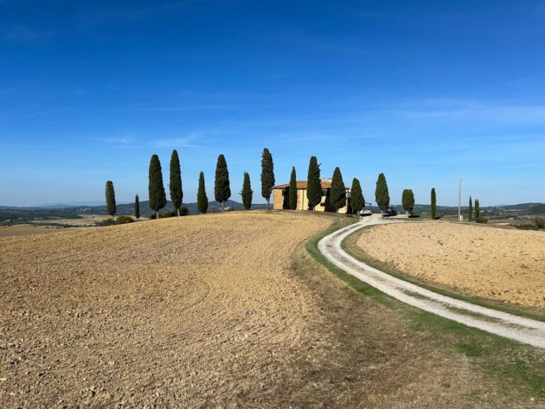 Siena: Guided Bike Tour of Val D’orcia