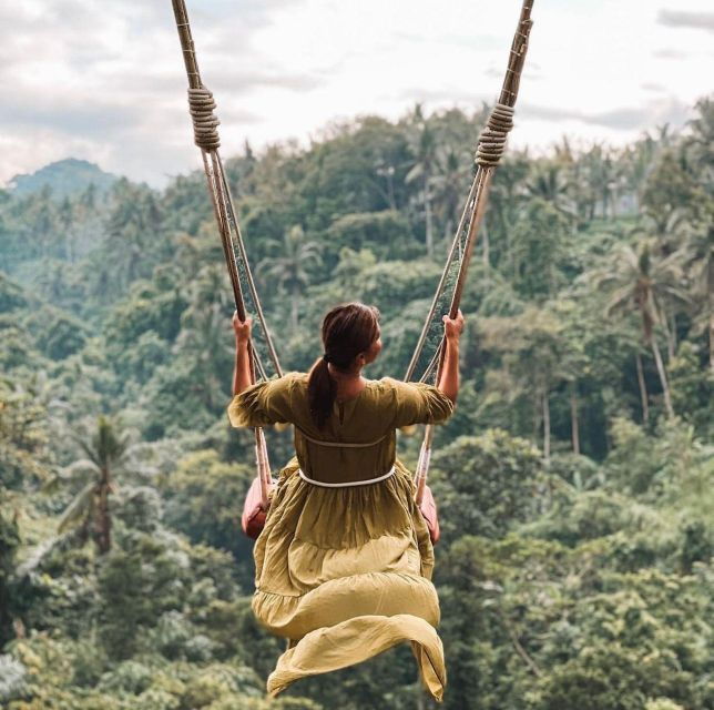 Sightseeing Around Ubud Monkey Forest and Waterfall - Private Group Tour