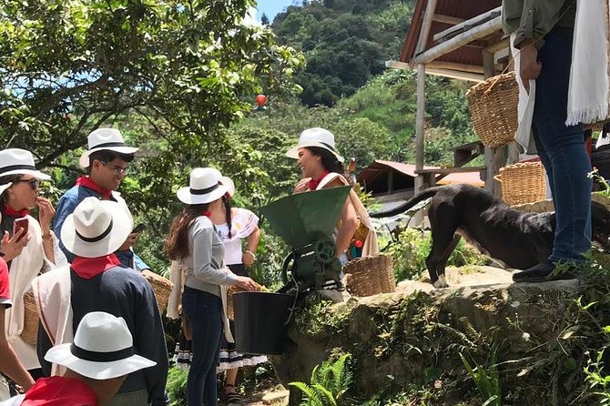 Sip and Savor on Medellín's Coffee Tour - Good To Know