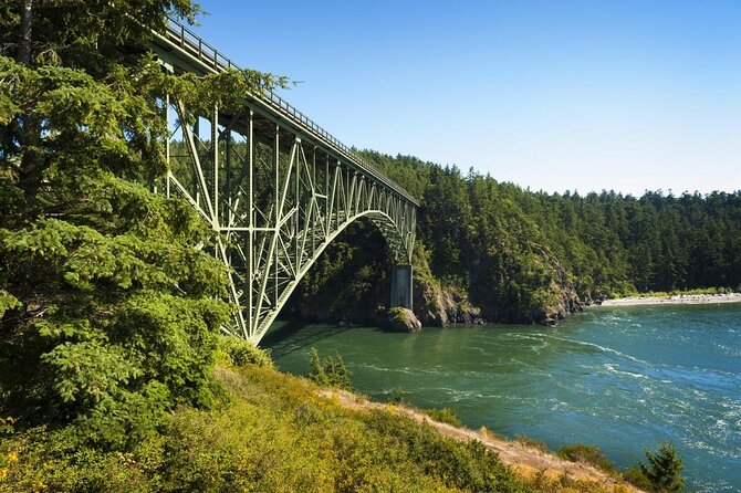 Skagit Valley Tulip Festival and Deception Pass - Private Luxury Day Tour  - Seattle - Skagit Valley Tulip Festival Overview