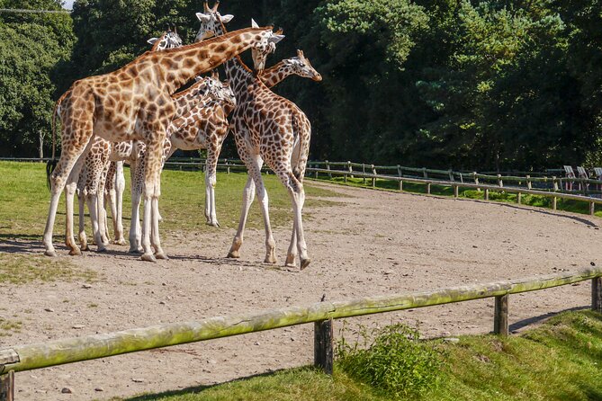 Skip-The-Line Hellabrunn Zoo in Munich With Transfers - Pricing and Booking